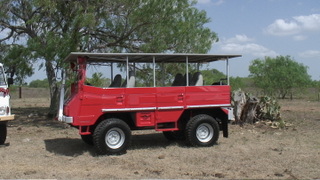 TXPinzgauer%20067.jpg