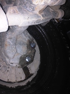 Rear Driver Wheel Oil Leak 4.JPG