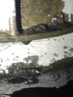 Rear Driver Wheel Oil Leak 1.JPG