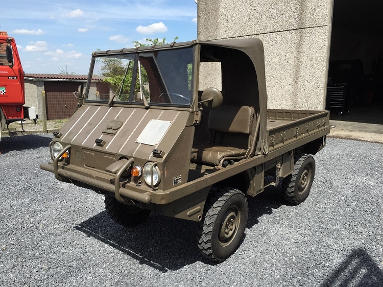 haflinger1a.jpg