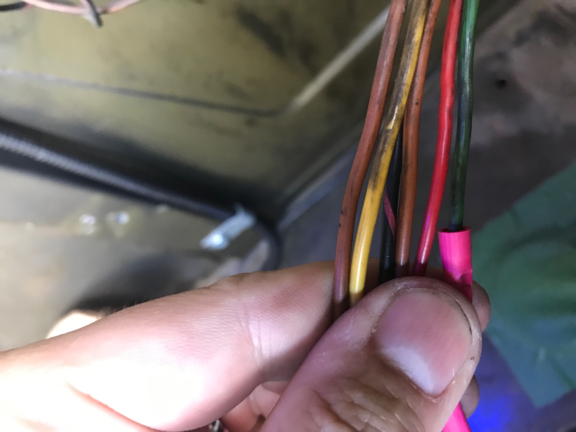 wires-in-pinz.JPG