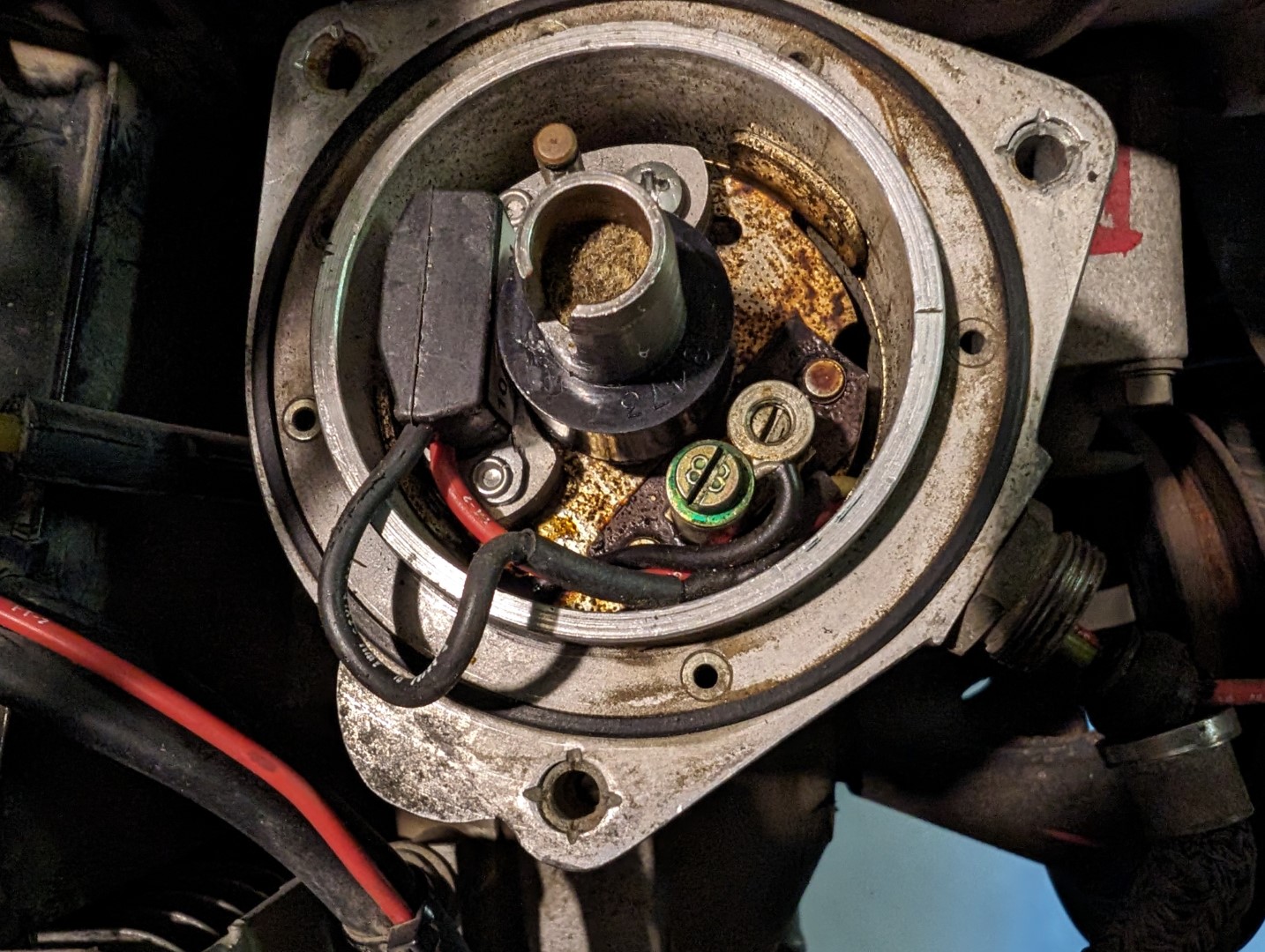 PXL_20231029_235728935.MP (Large).jpg