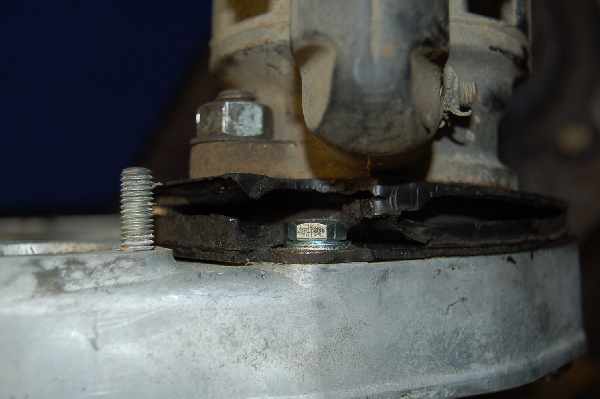 Pinzgauer Starter Photos (16) sm.jpg