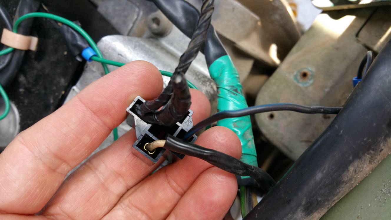 Bosch Relay and White wire 3.jpg