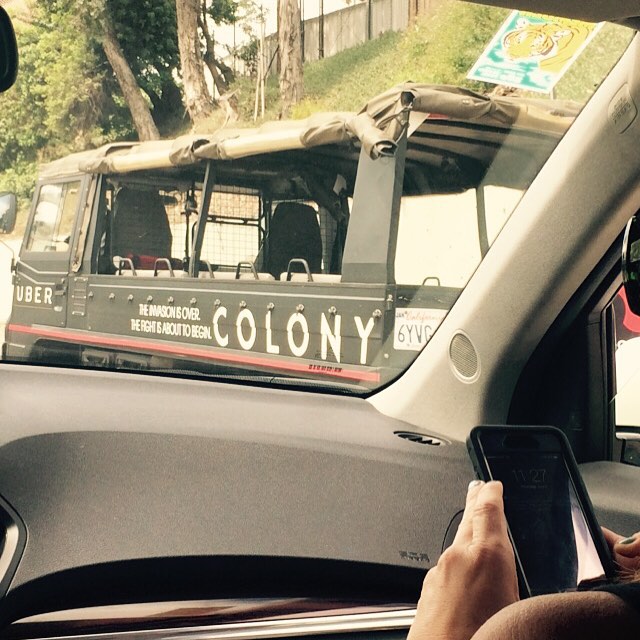 colony4.jpg