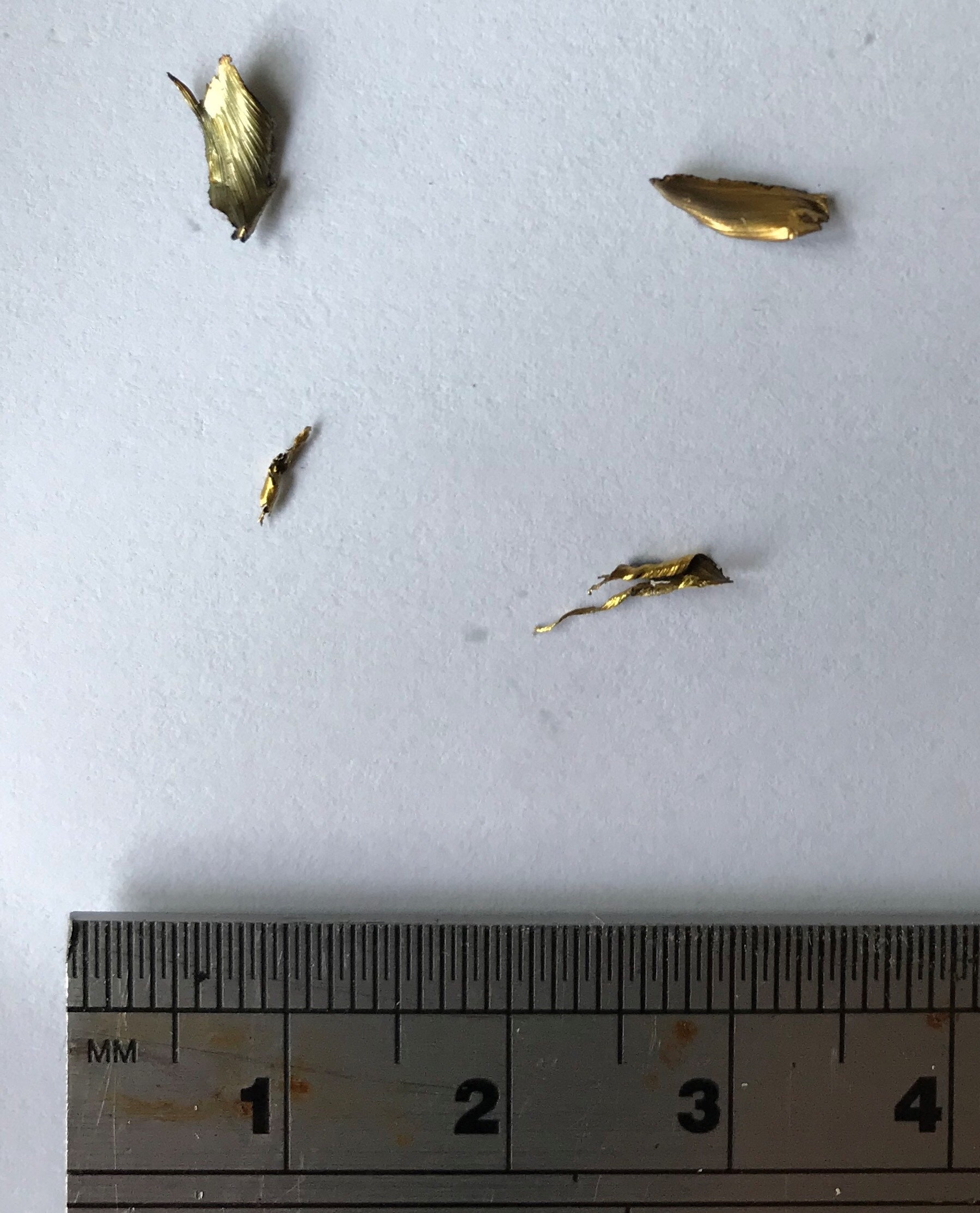 brass filings1.jpg