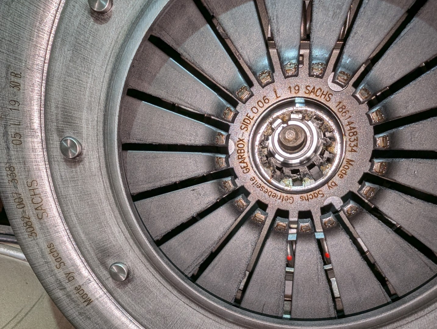 PXL_20241104_044943796 - Copy (Large).jpg