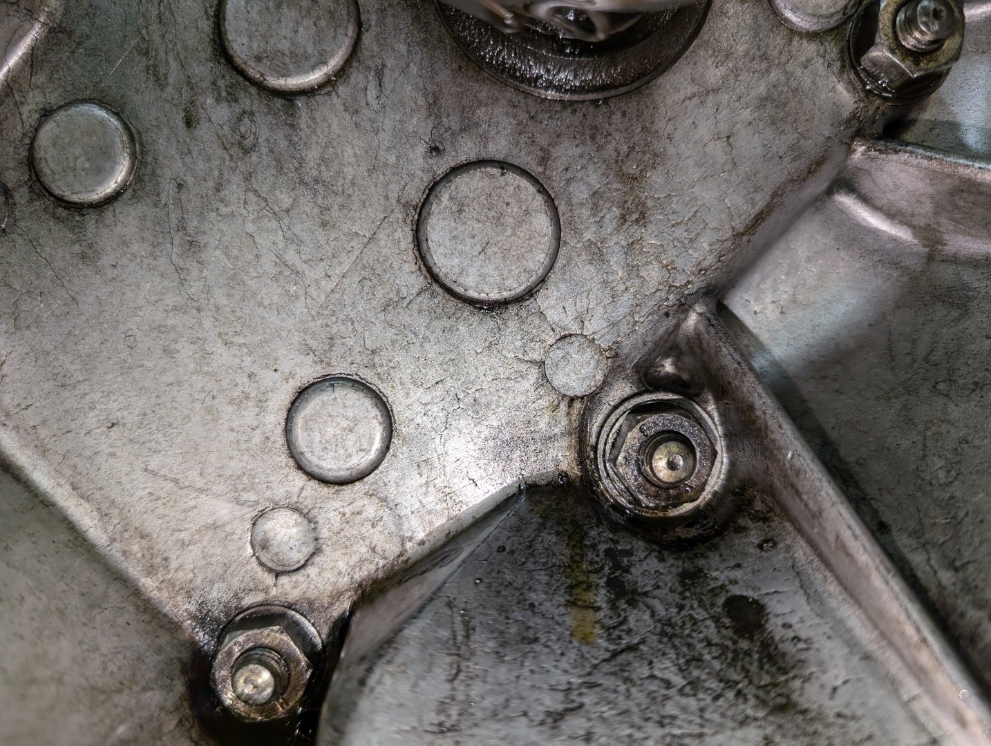 PXL_20241104_044815327 - Copy (Large).jpg