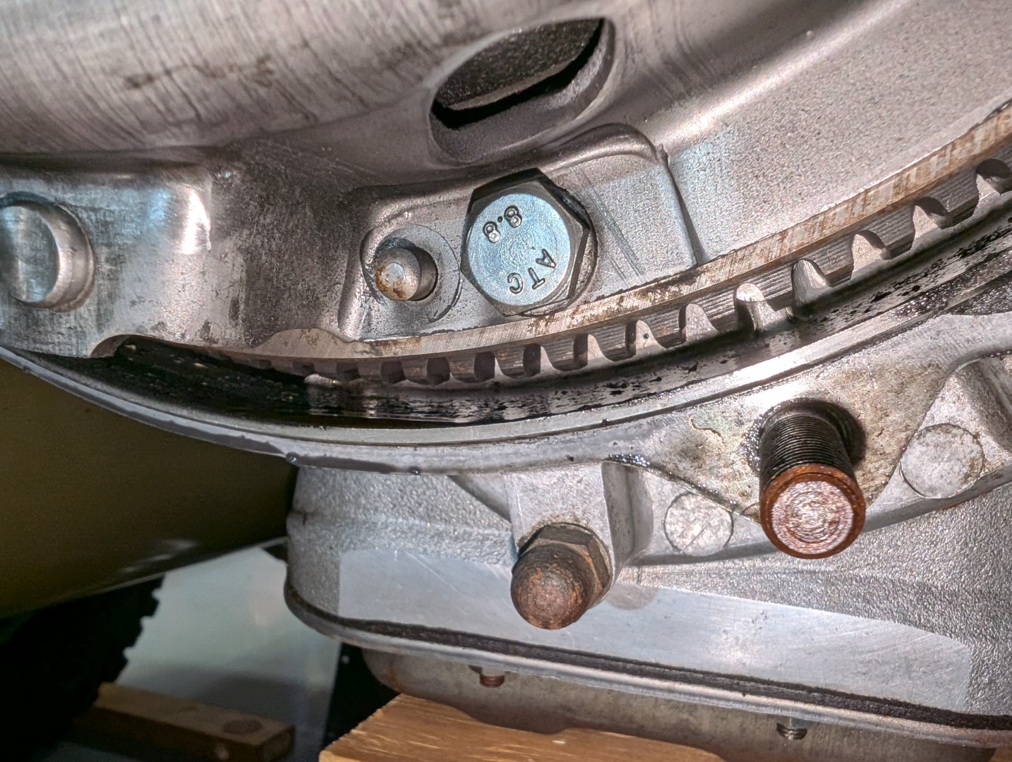 PXL_20241104_045049862 - Copy (Large).jpg