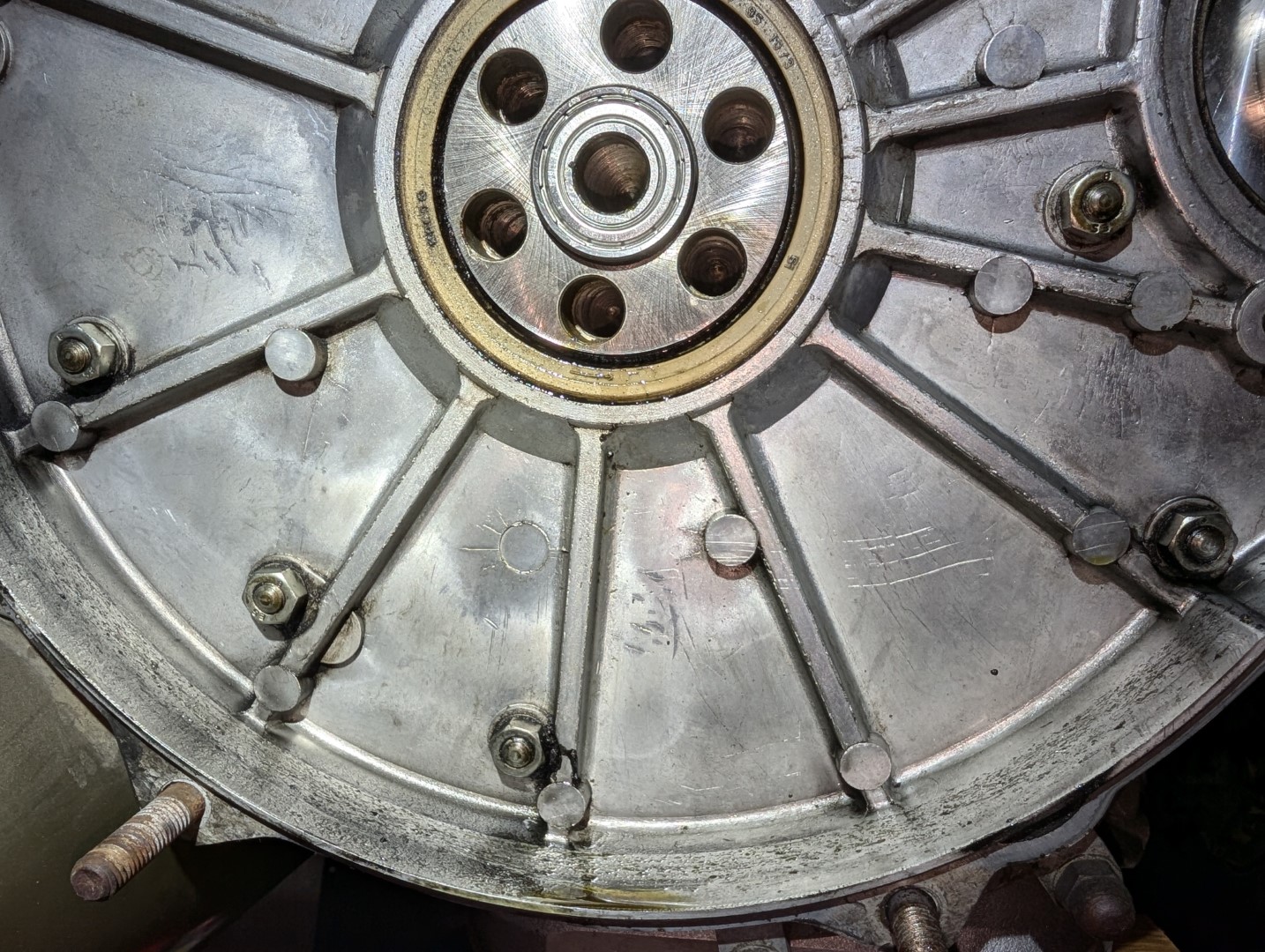 PXL_20241111_013706475 (Large).jpg