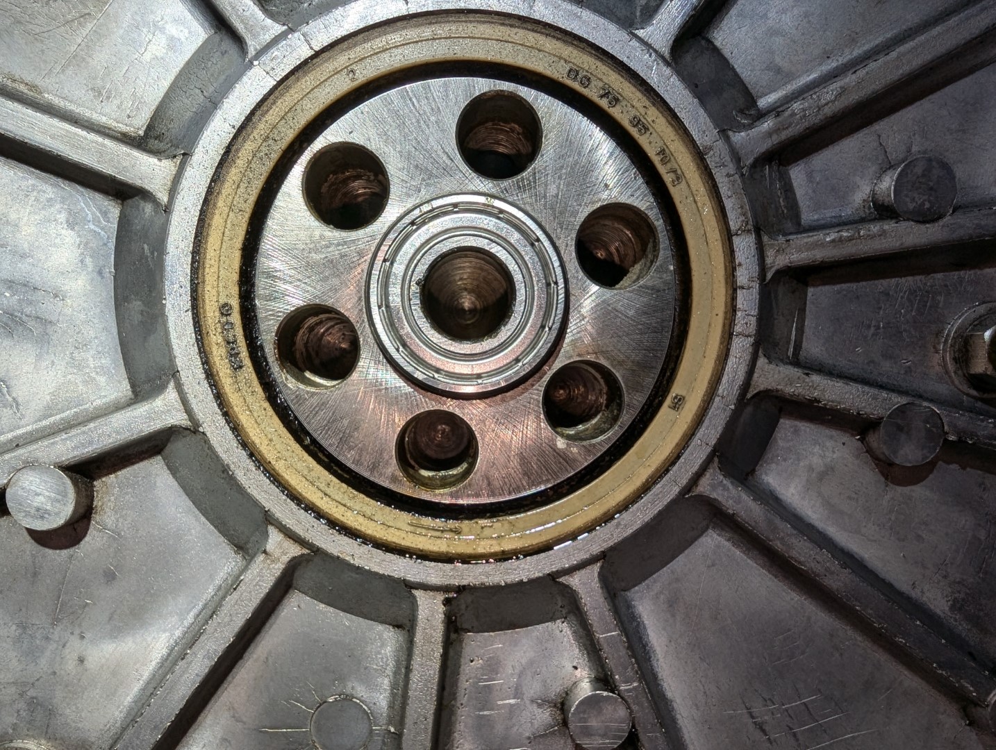 PXL_20241111_013736355 (Large).jpg